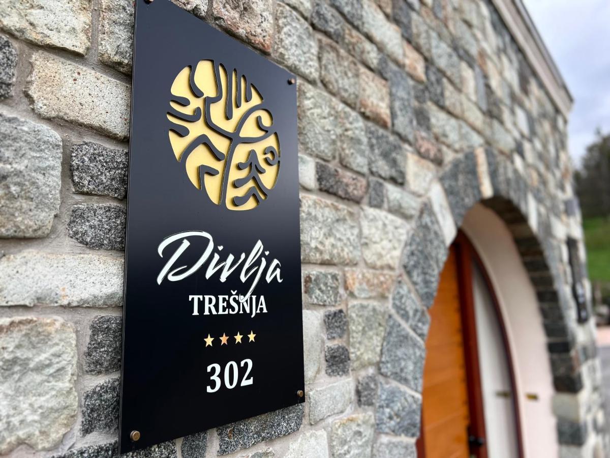 Toplik Village Resort Lukavica المظهر الخارجي الصورة